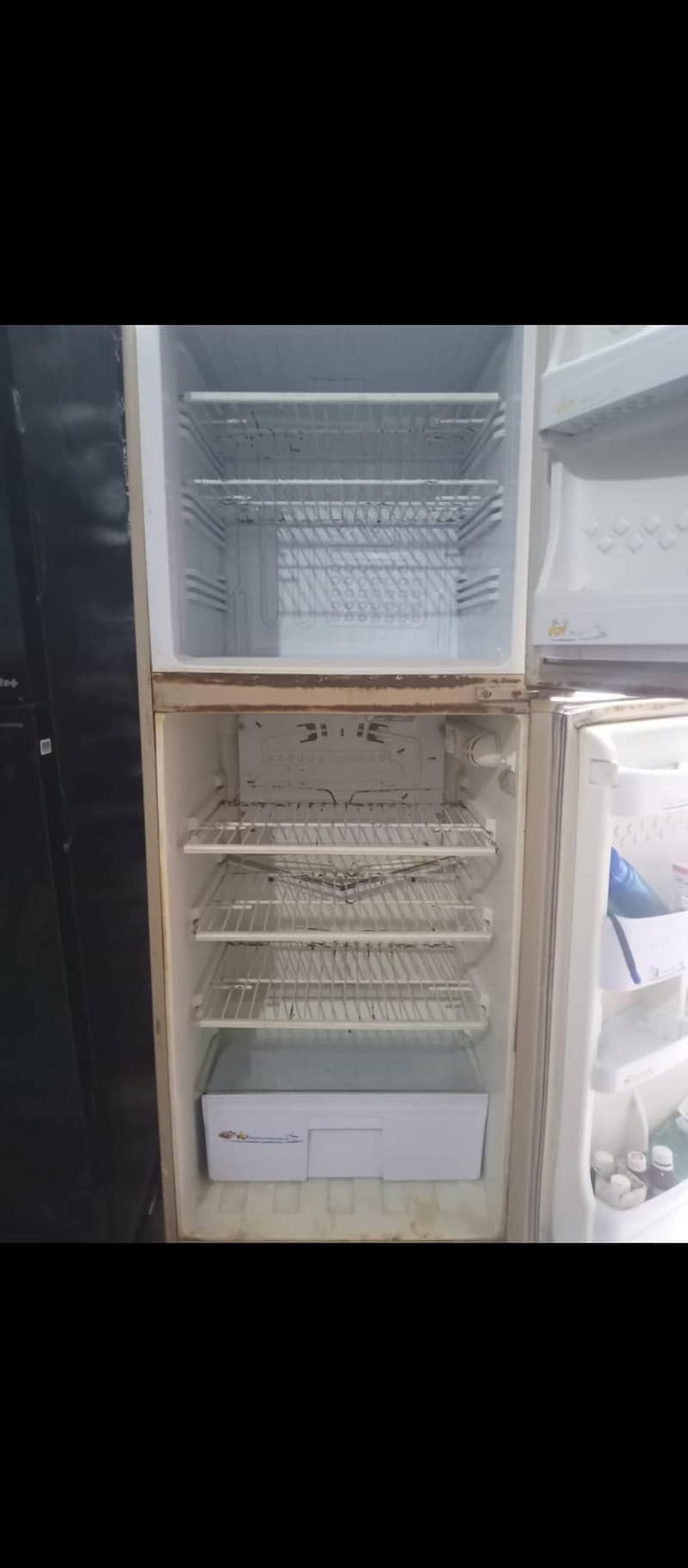 pel fridge extra medium 6