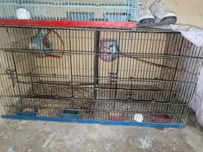 used cage for sale