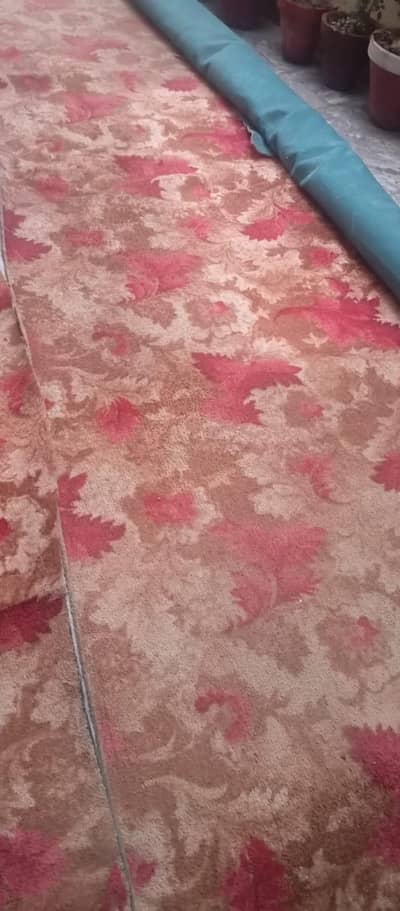 Carpet for sale