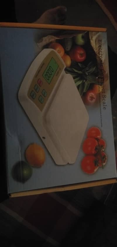 Electronic Compact Scale