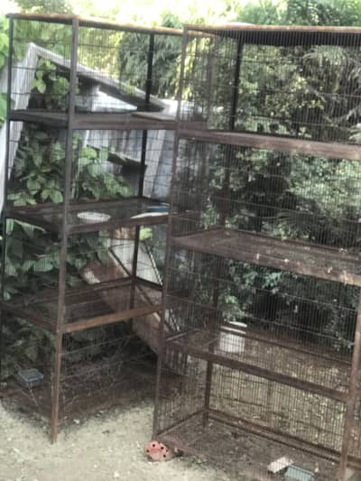 Parrot cage spot welding  made by expert from Mughalpura Lahore