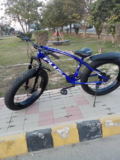 Fat Tyres wali cycle. all ok