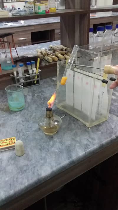 Online Science Tutor