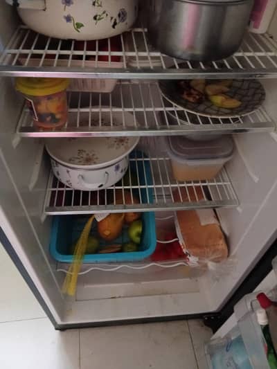 used fridge/freezer