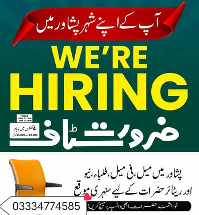 office work male and female required
