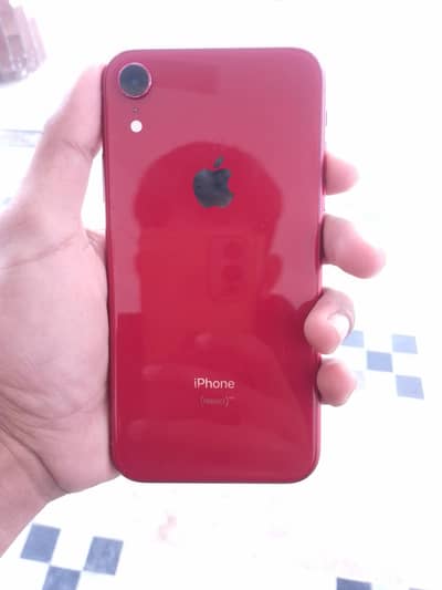 iPhone XR