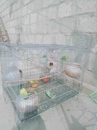 3 pair hen. . . total 12 piece hen