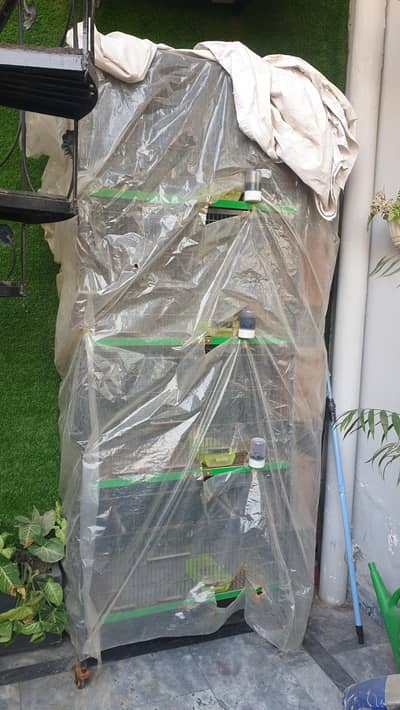 Parrots and Lovebirds Cage with 2 Pairs of Lovebird