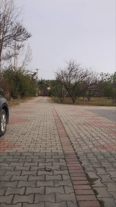 kisi ko gar k kam k liye bnda chye to rbta kryn