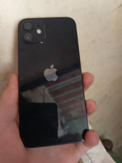 Apple iPhone 12