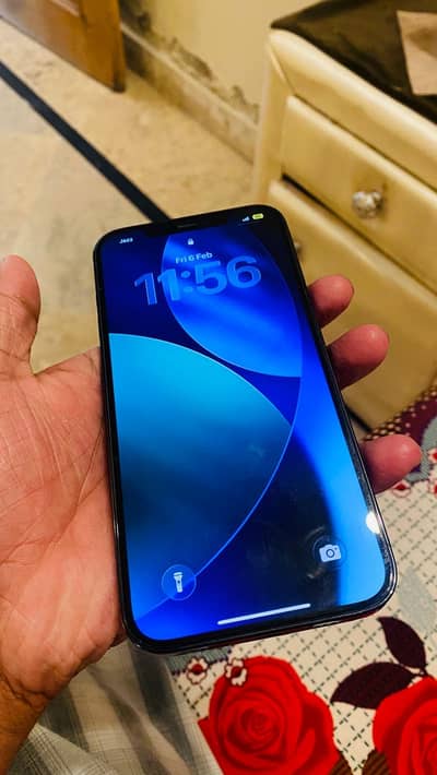 Iphone 12 pro max pta approved