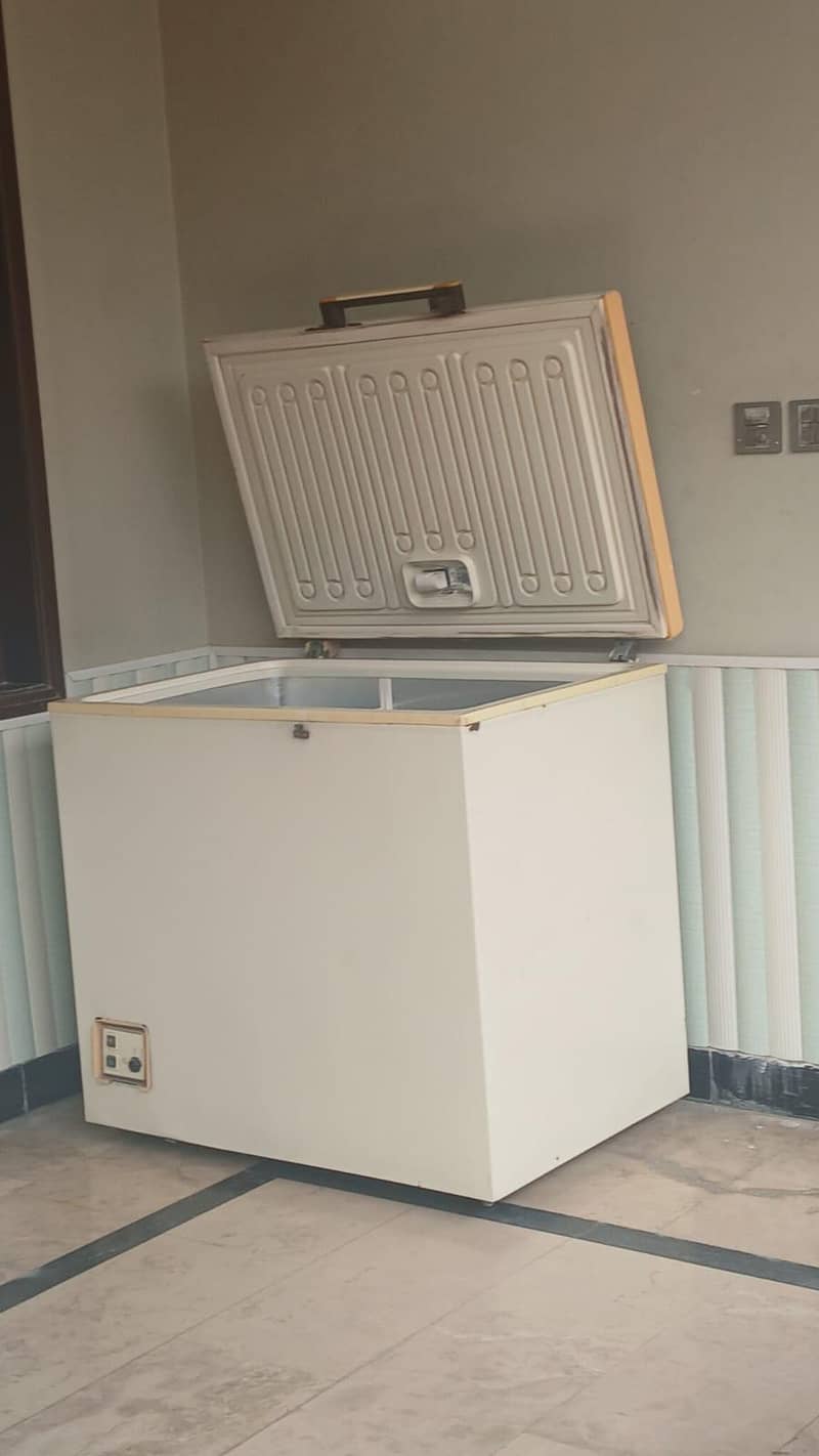 deep freezer 2