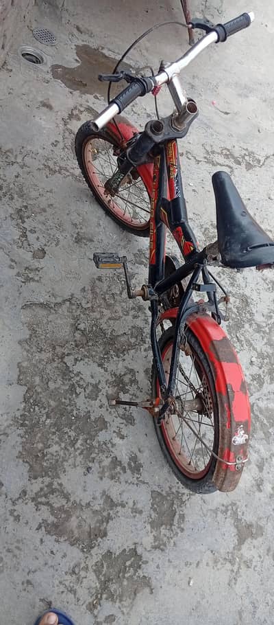 bicycle for 10 years childrens