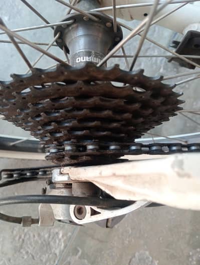 Scott contesa 30 mountain bike. Mountain bike. Multiple speed