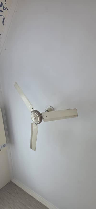 2 Ceiling fan in Working condition 4 sale