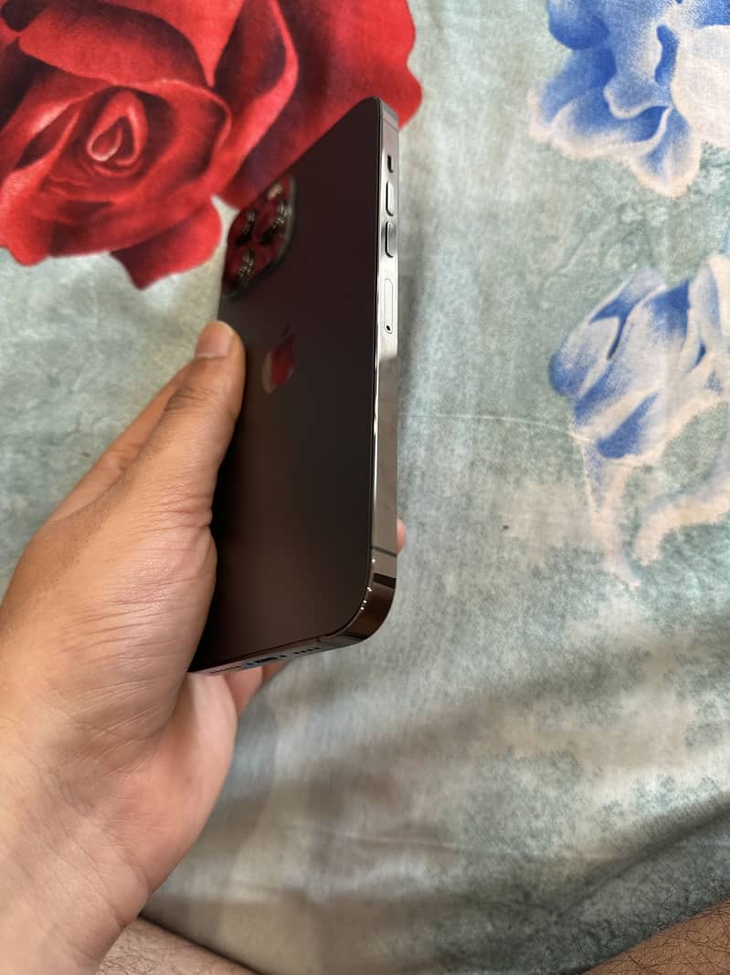 Iphone 13 Pro Max 15