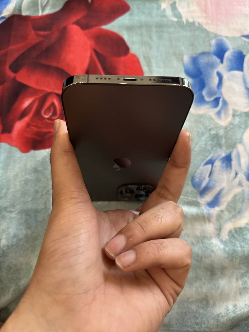 Iphone 13 Pro Max 19