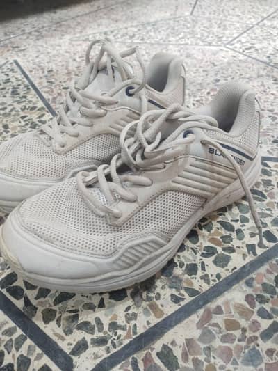 original slazenger cricket spikes (UK item)