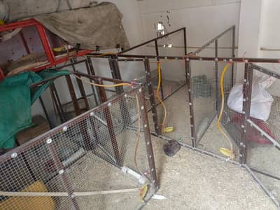hens cages for sale