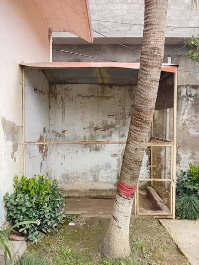 birds prenja good condition