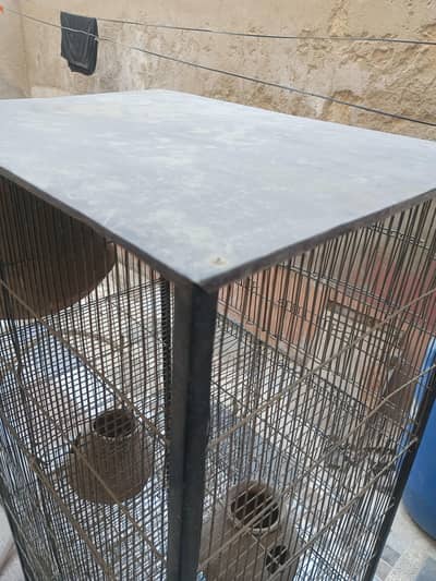 8 portions birds cage