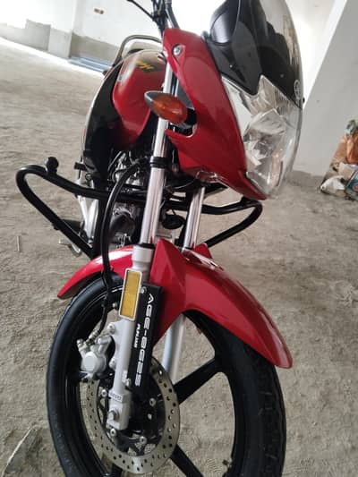 Yamaha YBR 125 fresh bike