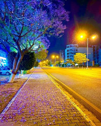 1 KANAL PLOT FOR SALE MULTI F-17 ISLAMABAD ALL FACILITY AVAILABLE CDA PPROVED SECTOR MPCHS