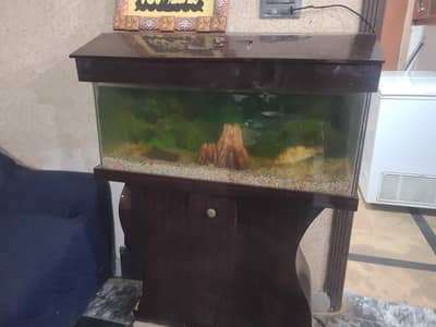 fish jar for sale