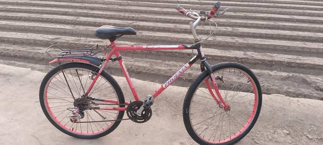 racing circle 2025 used condition urgent for sale location