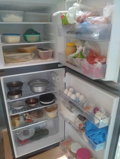 Haier glass door freezer