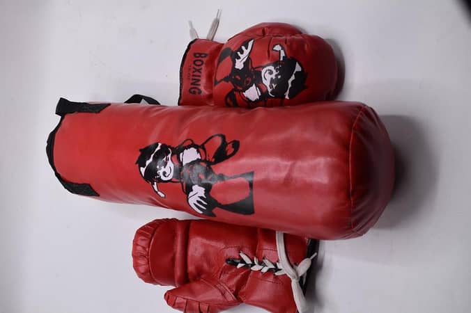Baby punching bag with two gloves