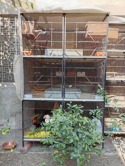 heavy duty bird cage 1.5 feet 4 feet