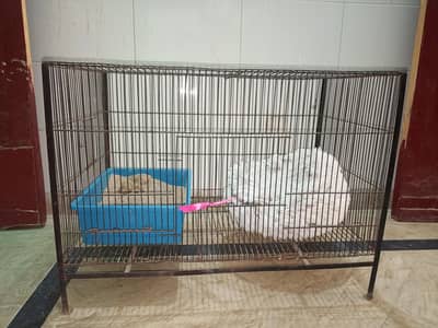 bird's cage, parrots cage, puppies cage  available for sale