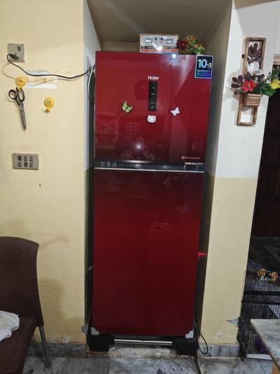 Haier BEST almost new condition only 4 months used fridge for sale