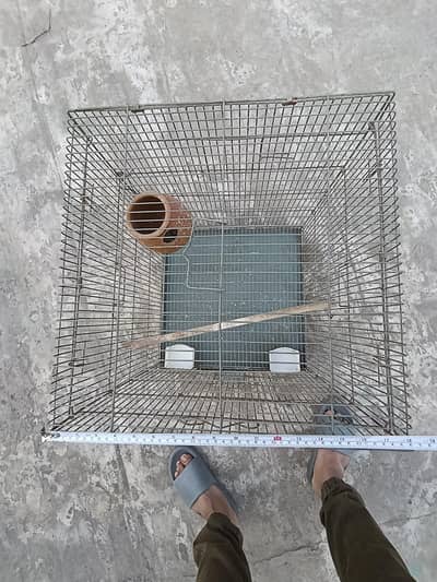 2 PARROT CAGES