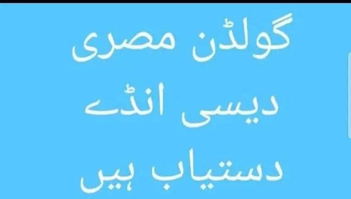 اب دیسی انڈے صرف 400 روپے درجن دستیاب ہیں۔ 1