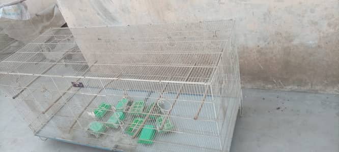 Cages for Sales
