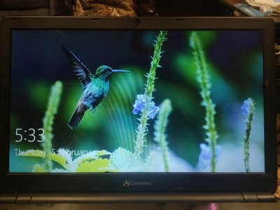 Gateway Laptop | AMD A4 | 12GB RAM | 256GB SSD | Smooth Performance