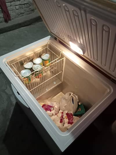 Waves single door deep freezer in excellent condition.