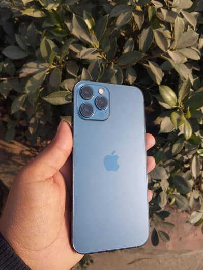 iPhone 12 pro max PTA Approved 128 gb