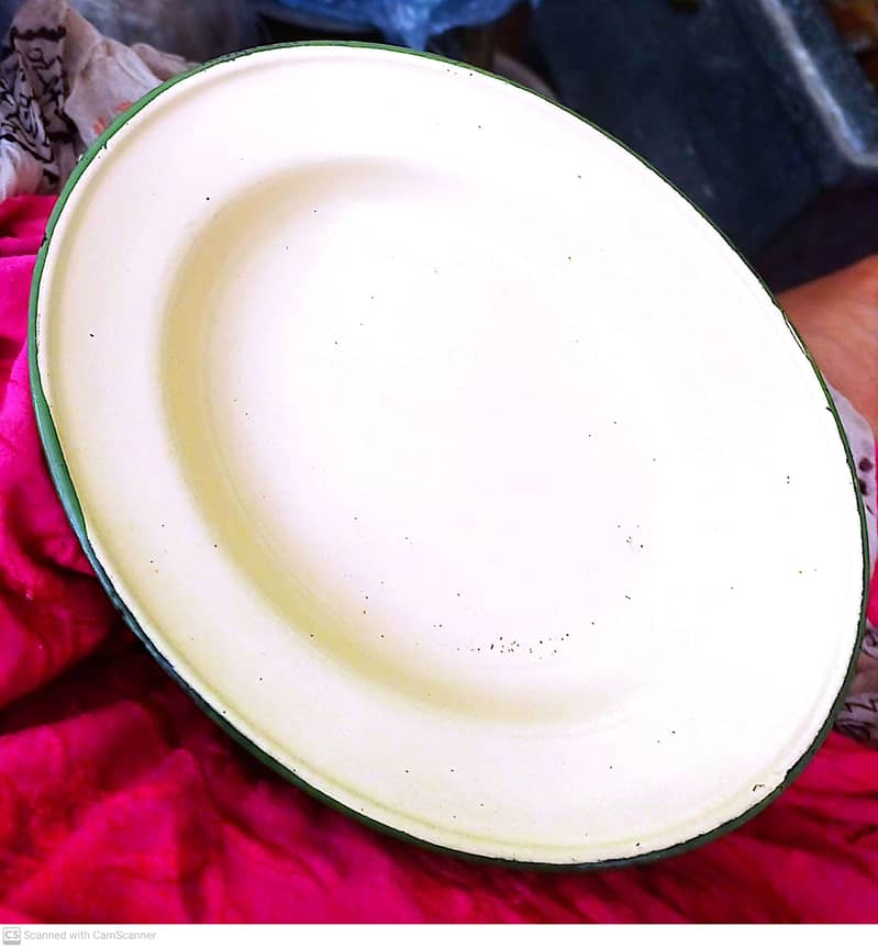 Enameled Dining Plates 0