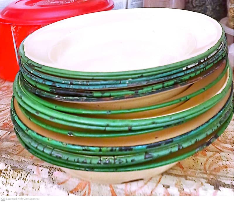 Enameled Dining Plates 1