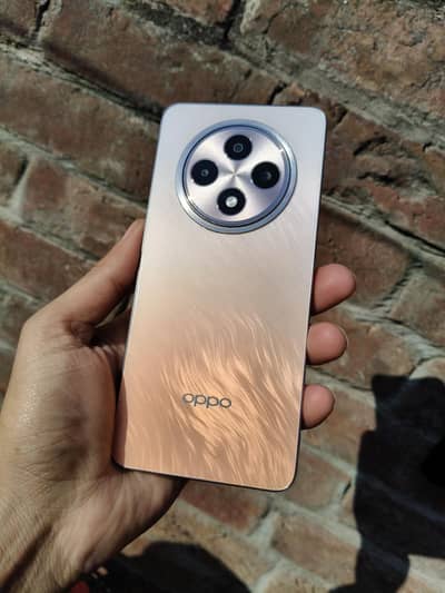 Oppo Reno 12F 5G 12+12/256 Box Charger