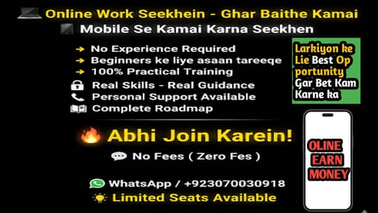 Online Earning Work