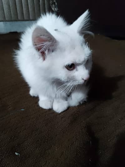 ye Mano bhttt achi h