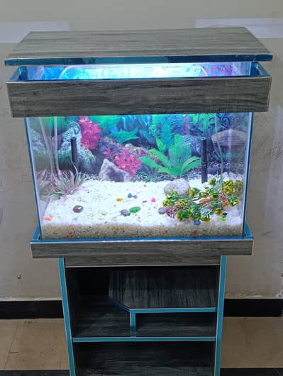 Aquarium with table and accessories