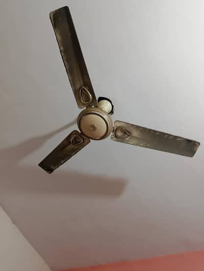 used Celling fan