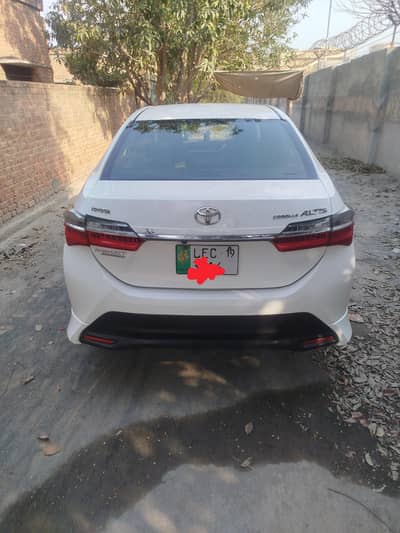 Carola gli super white special edition