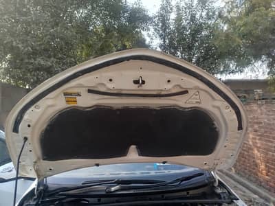 Carola gli super white special edition