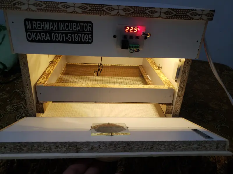 Incubator — photo 2